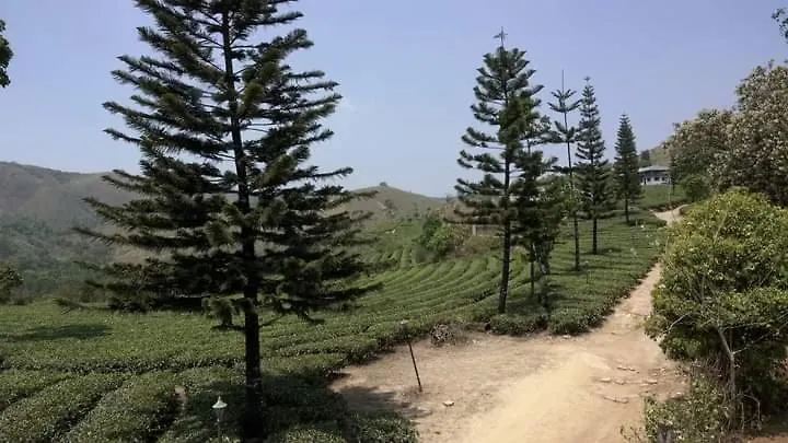 Pine Trees Home Stay Vagamon Homestay
